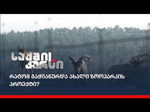 რატომ გაჭიანურდა ახალი ზოოპარკის პროექტი?