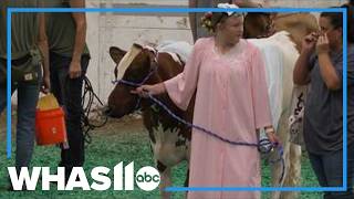 Kentucky State Fair junior dairy cattle costume contest brings the fun Kentucky State Fair junior dairy cattle costume contest brings the fun