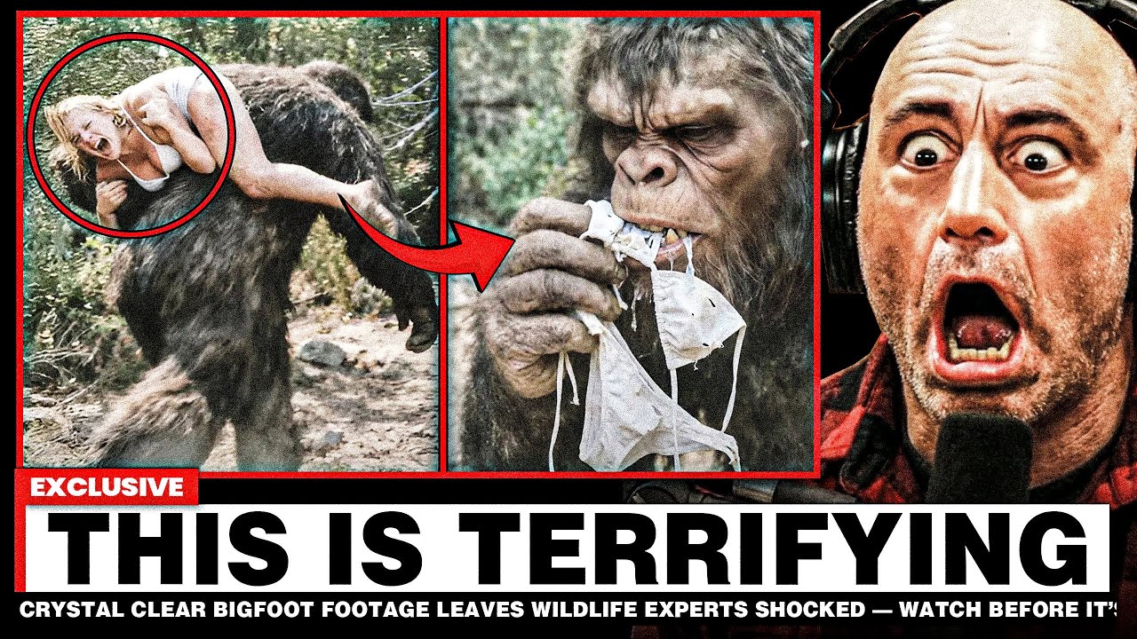 Crystal Clear BIGFOOT Footage Leaves Wildlife Experts SHOCKED — Watch Before It’s Deleted!