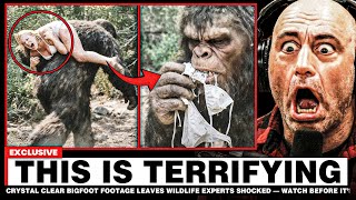 Crystal Clear BIGFOOT Footage Leaves Wildlife Experts SHOCKED — Watch Before It’s Deleted!