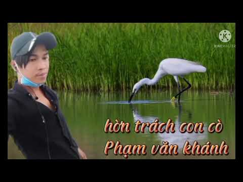 Hờn trách con