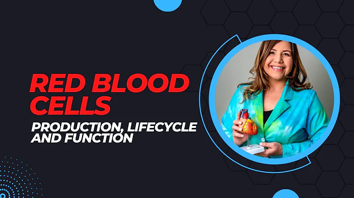 Red Blood Cells: Production, Life Cycle, and Function - DayDayNews