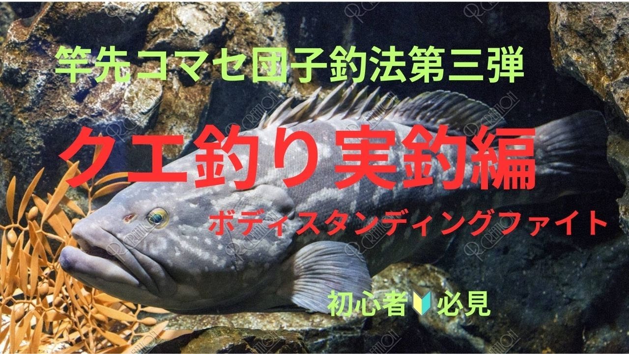 竿先コマセ団子釣法シリーズ第三弾　クエ釣り実釣編　クエボーズ