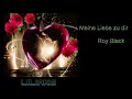 Roy Black  -  Meine Liebe zu dir 💕