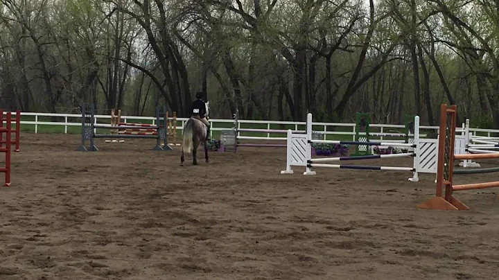 Devon Eret and Cabriolet Deborah Donoghue Open Equ...