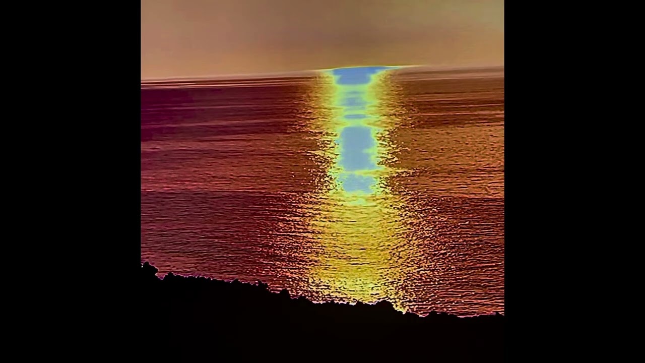 Silver Jews - The Right to Remain Silent