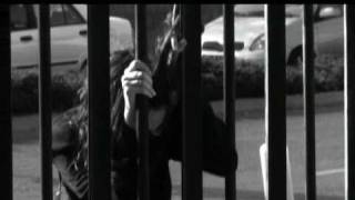 TAIL / Veronica Kedar