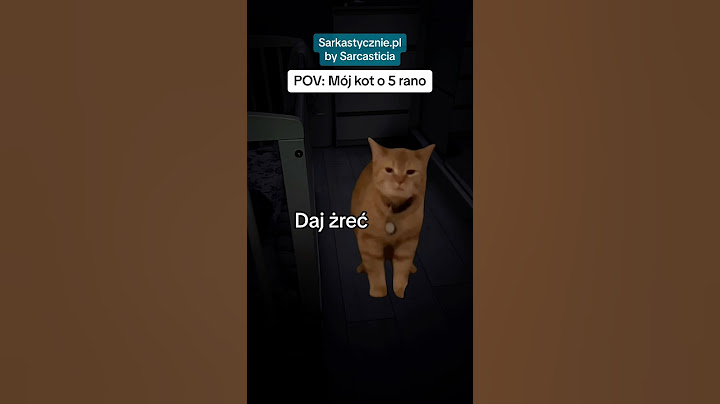 Koniec z pobudkami 😂 #kot #koty #haha #memy #śmieszne #catmeme #catmemes #capcut #xd #aliexpress