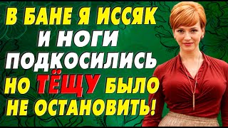 Зять и представить не мог, на что тёща способна…