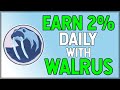 EARN 2.5% Daily with Frozen Walrus Finance! (My Strategy)