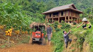The talented couple spent half a month transforming the barren land into a thriving farm.