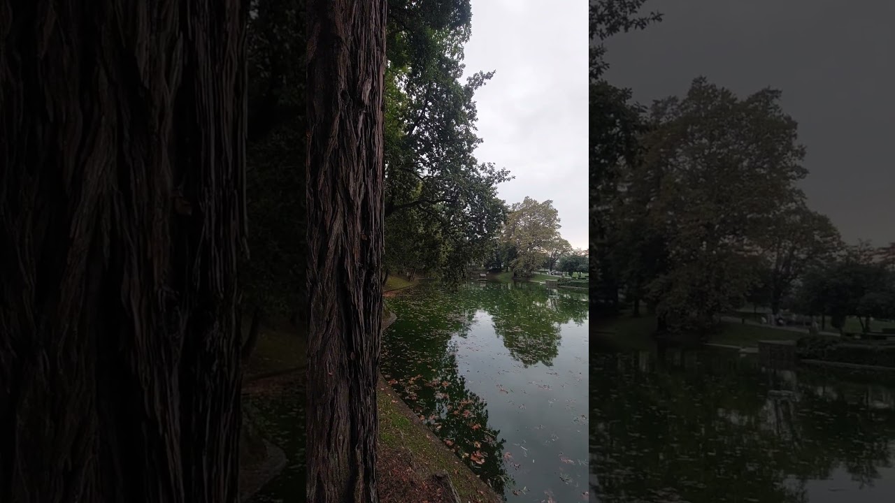 Lago Parque da Ponte Braga Portugal #Braga ##portugal #relax #relaxing