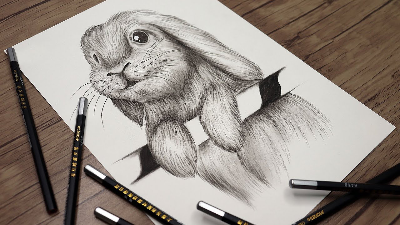 Cute white rabbit drawing with Dom's coloured pencils - YouTube