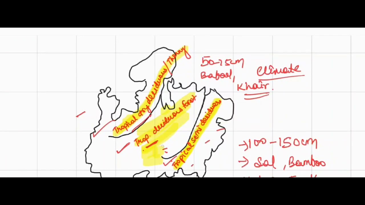 MP GK - FOREST RESOURCES IN MP- MAP AND FLOW CHART - PRELIMS REVISION