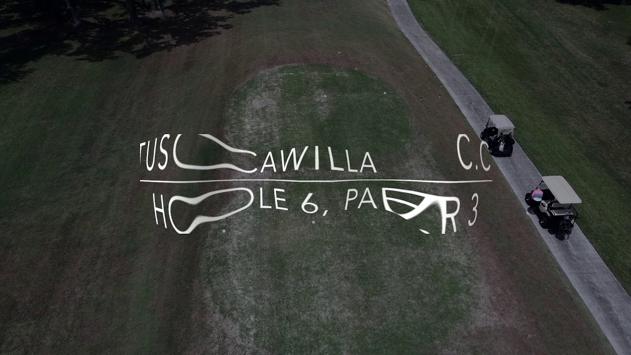 Sample   Tuscawilla Fly over