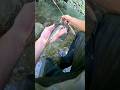 Ce genre de moment de pêche perdu, seulement la nature, la pêche et sois même 🎣🤗 #smith#fish#trout