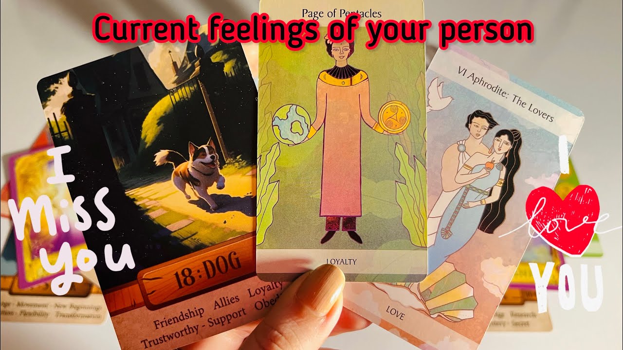 No contact current feelings of your person 💞Hindi tarot card reading Love tarot reader YouTube
