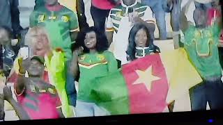 Allez Les Lion