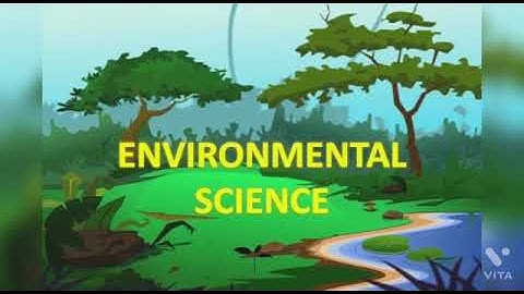 Grade 4 EVS Topic:- Making Sense