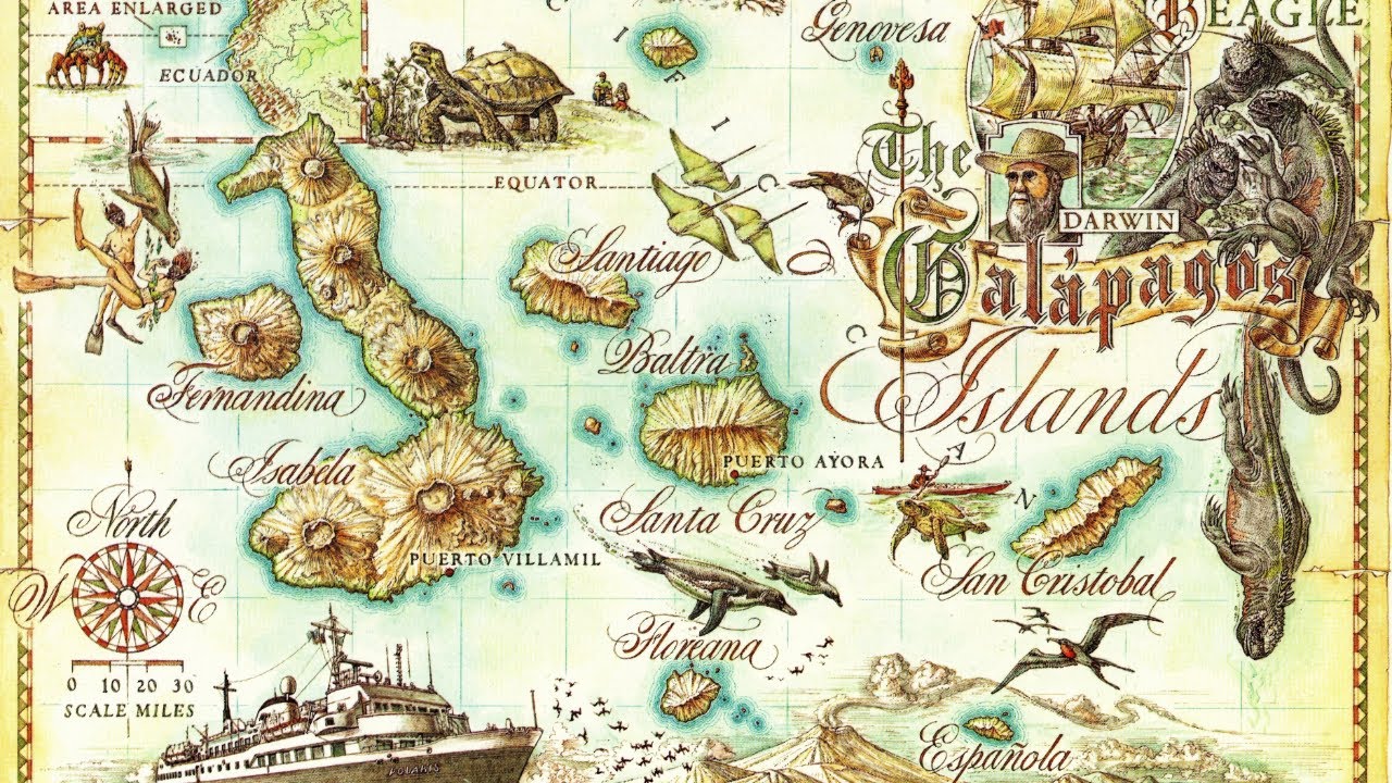 2014-10-13-17 - Galápagos Liveaboard Diving