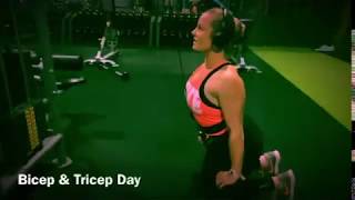 Biceps & Triceps by VLTPT.COM