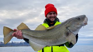 ОНИ ЛОМАЮТ КРЮЧКИ… РЕКОРДНЫЙ ТРОФЕЙ!!! Эмоциональная рыбалка в Норвегии с лодки