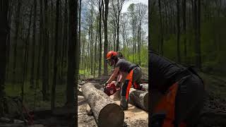 @lumberbarbiusing personal protection equipment #safety