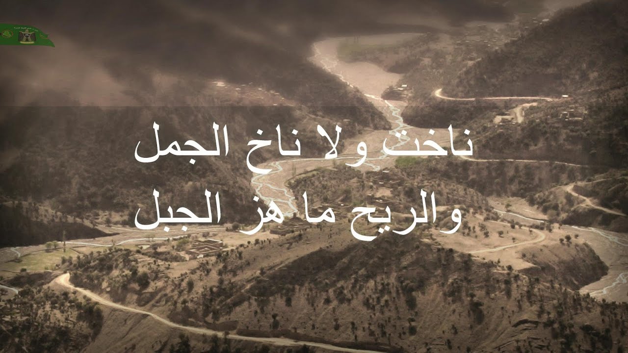 ناخت ولا ناخ الجمل - الشاعر ابو صدام مع كلمات