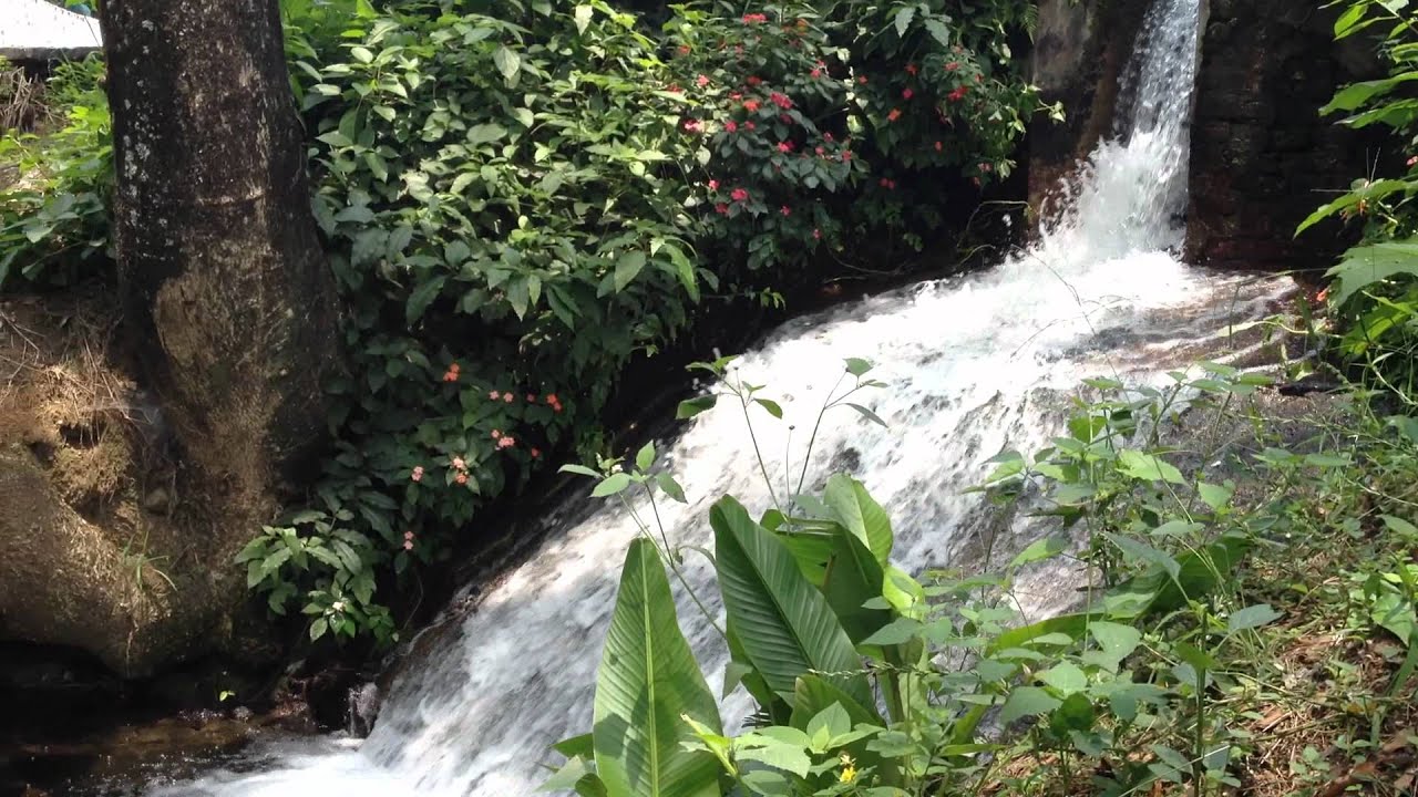 Sapoapa Santa Ana - YouTube Sapoapa Santa Ana - YouTube