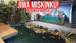 SULTAN MENGGILA!!! BANGUN SUNGAI IKAN PREDATOR & MEGATANK MEWAH UNTUK IKAN PREDATOR JUMBO!!!