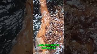 2025 Gold Hiding In A Small Stream Crack And The Amazing Ending