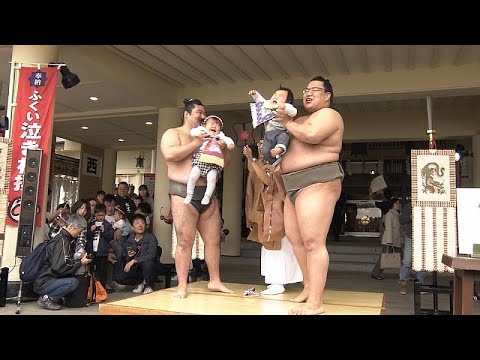 Concurso De Sumo Para Bebes En Japon Youtube