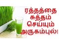 Tamil Tamil Nattu Tamil Nattu Maruthuvam Tamil Siddha Maruthuvam Tamil Natural Medicine Siddha