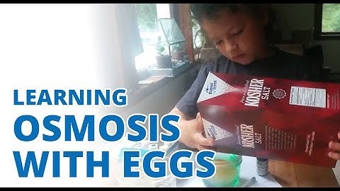 Osmosis for Kids: Seeing osmosis with eggs