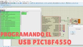 USB con PIC18F4550- Wels Theory