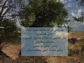 غادة غانم تغن ي صوت ك مرق ع المسافة 