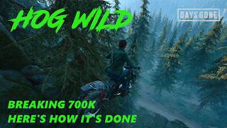 Days Gone / BREAKING 700K ON BOTH VERSIONS OF HOG WILD , HERE'S HOW IT'S DONE