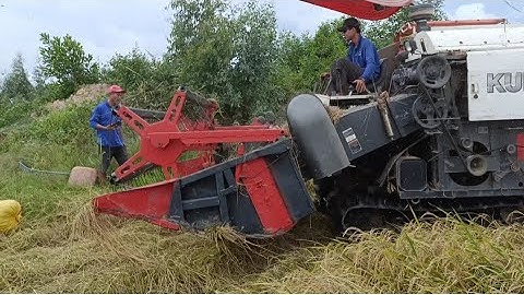 máy cắt 70 độ hàm 95 hợp số 102 cắt lúa rất nhanh tập33#maibangtv