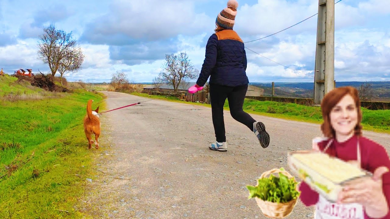 FAÇO EXERCÍCIO POR 10 MINUTOS - RECEITA DE BACALHAU COM GRELOS