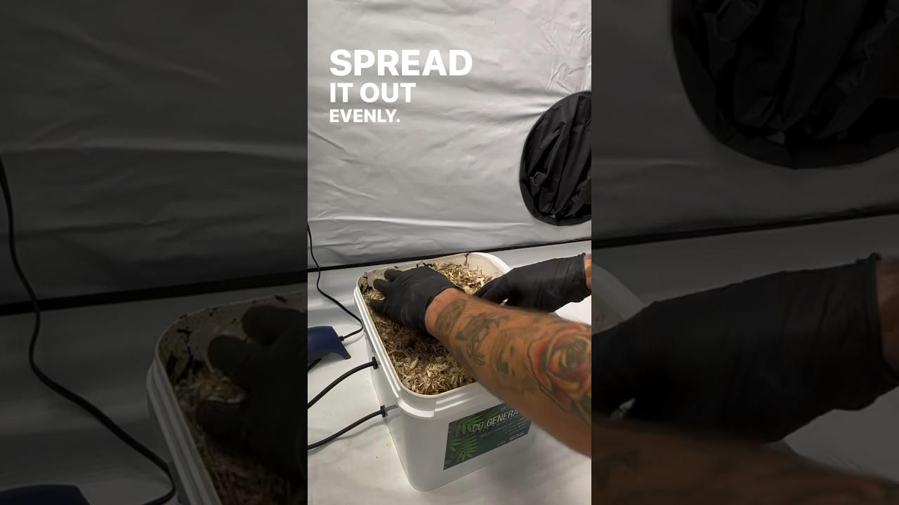 Refilling the Mother Nature CO2 Generator. Get up to 6 MONTHS of CO2 for your grow tent!