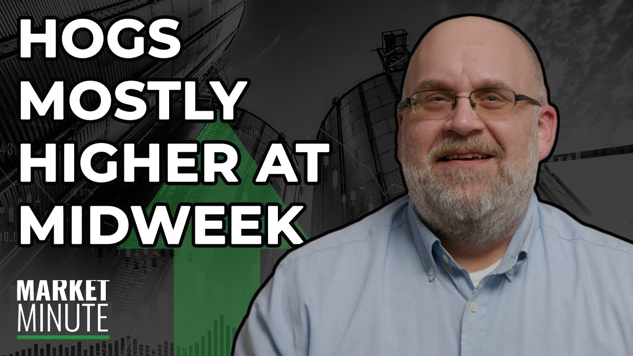 Hogs were mostly higher at midweek | Market Minute for 2/14/24 - YouTube