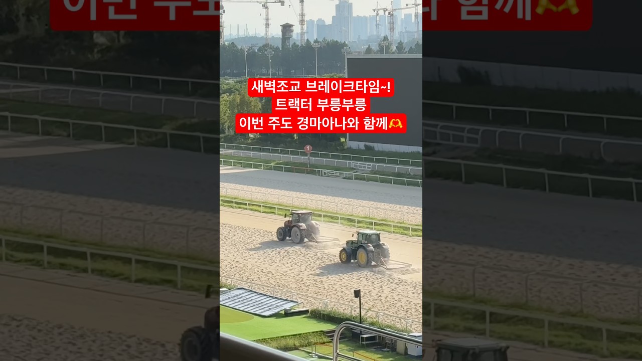 새벽조교 이모저모🥰 트랙터 부릉부릉~!!
