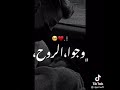 اجمل اغنية انت بقلبي وجوا الروح 