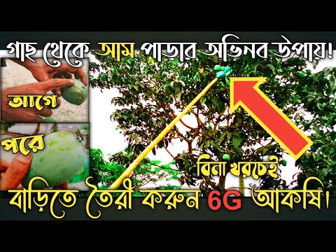 ভিডিও: চুলা পাড়ার প্রাথমিক নিয়ম