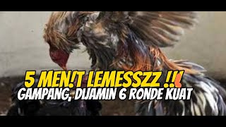 K4ki aym lemes? Gemetar? ,, inilah cara melat!h dan mengat4sinya || questions