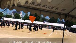 今治市立日吉中学校運動会,愛媛県,2015/9/13(平成27)