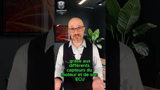 Fap Sauvable Ou Casse