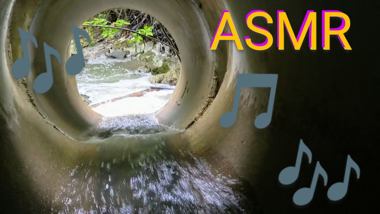 ASMR: River in the Ravine - YouTube