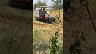 Yanmar aw70gv || yanmar track harwester performance || #yanmar #combine #agriculture