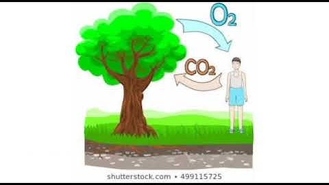 CLASS /4/ SCIENCE / UNIT -3 AIR WE BREATHE (PART - 2)